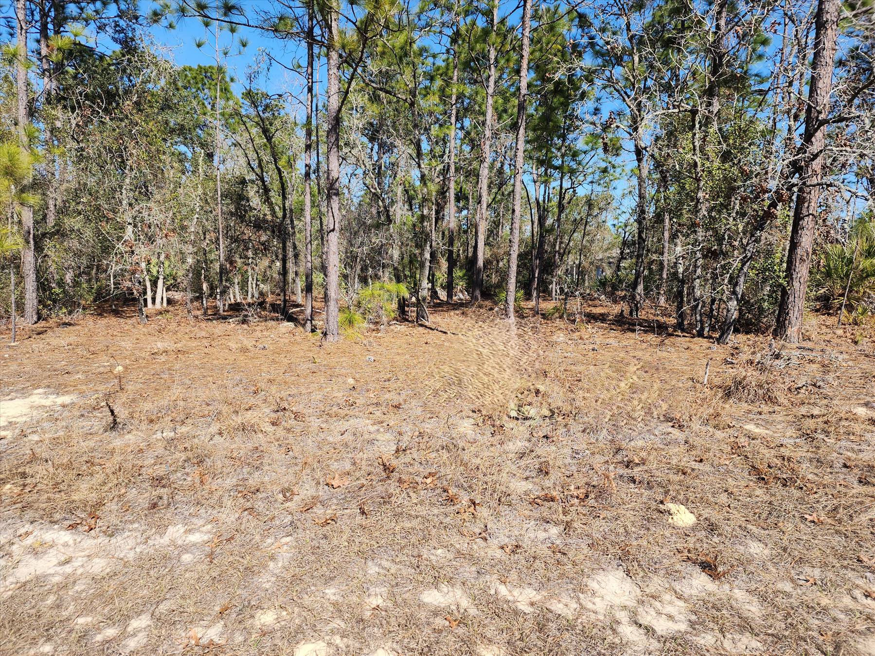 main property photo