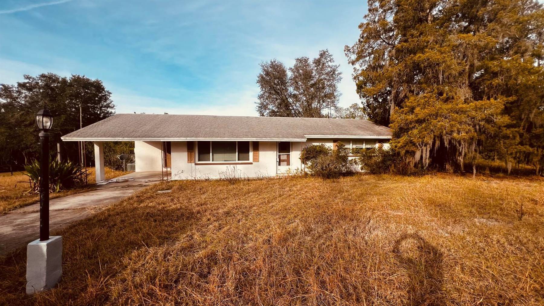main property photo