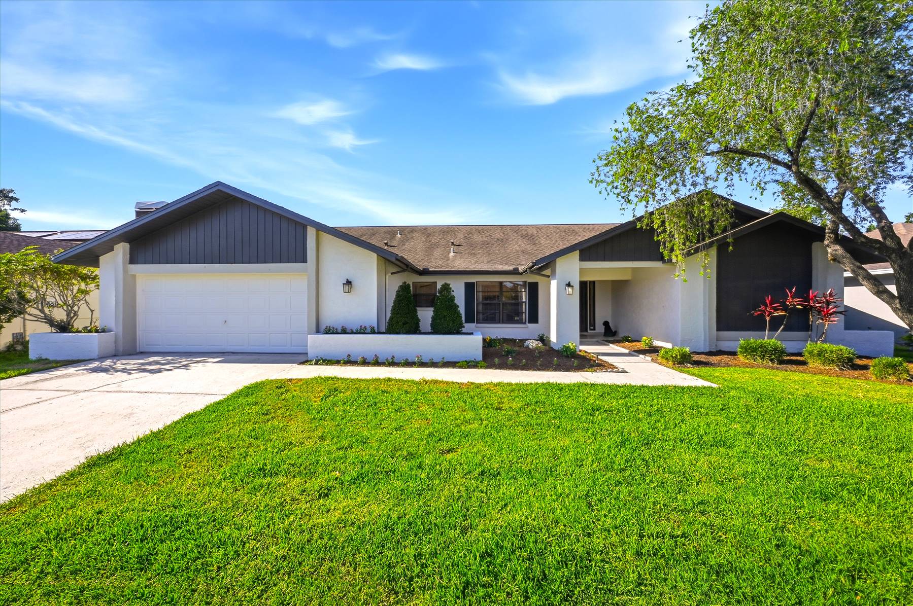 main property photo