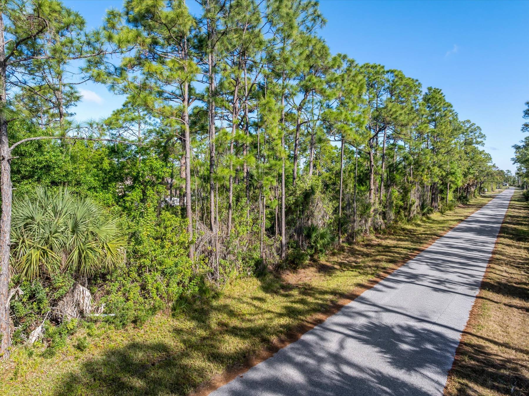 main property photo